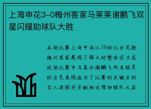 上海申花3-0梅州客家马莱莱谢鹏飞双星闪耀助球队大胜