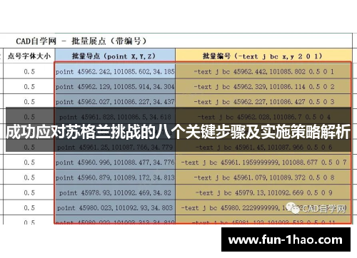 成功应对苏格兰挑战的八个关键步骤及实施策略解析