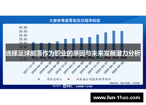 选择足球部落作为职业的原因与未来发展潜力分析